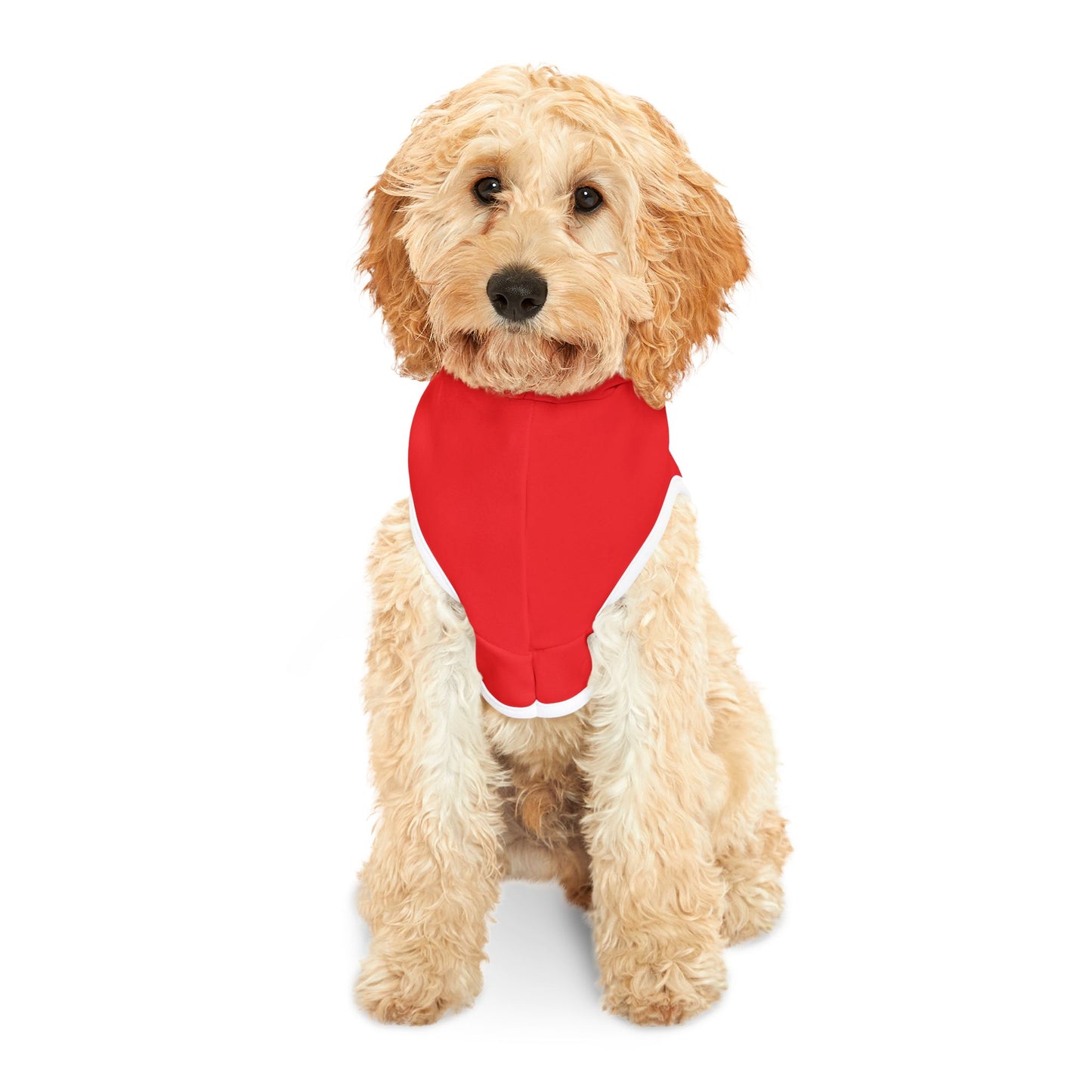 Dead Paws Red Logo Pet Hoodie in Red