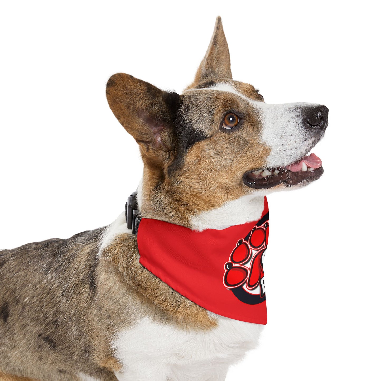 Dead Paws All Red Pet Bandana Collar