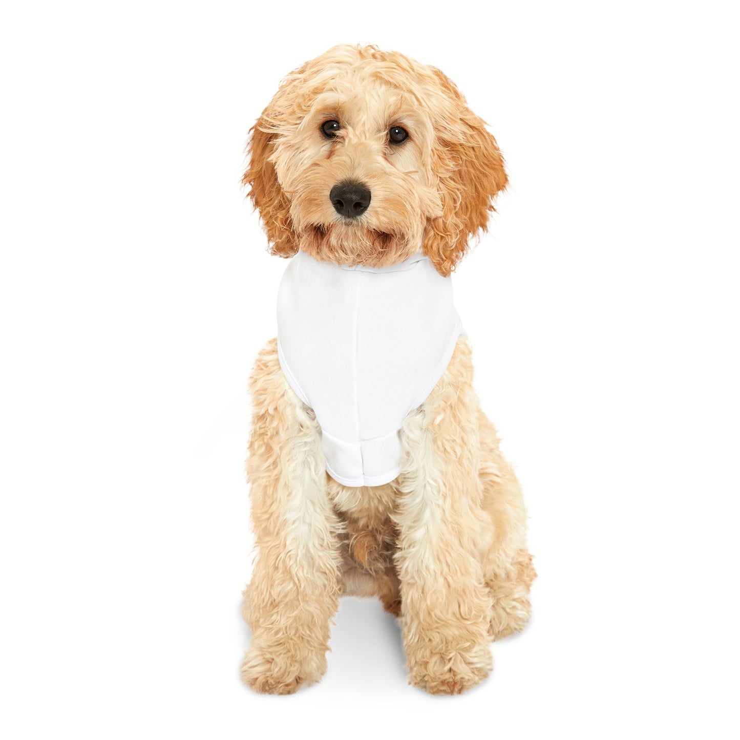 Dead Paws Blue Logo Pet Hoodie in White