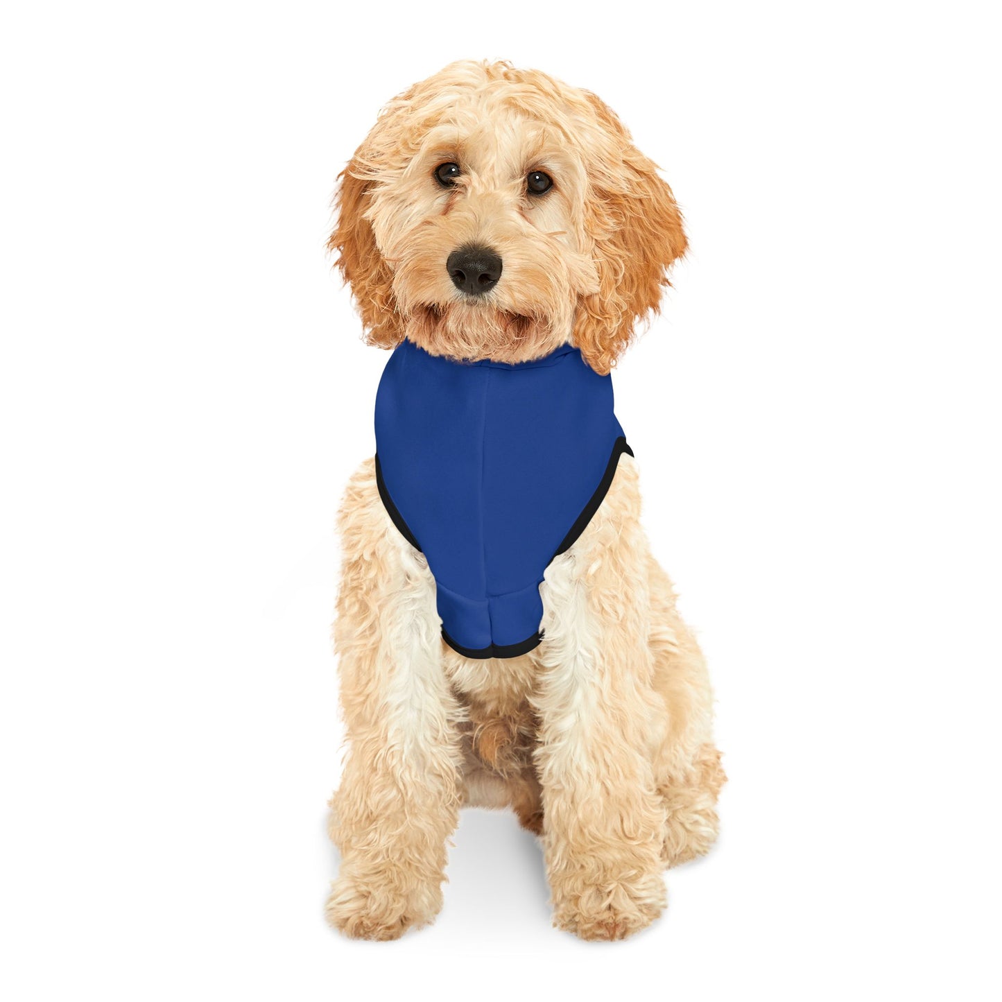 Dead Paws Blue logo Pet Hoodie in Blue