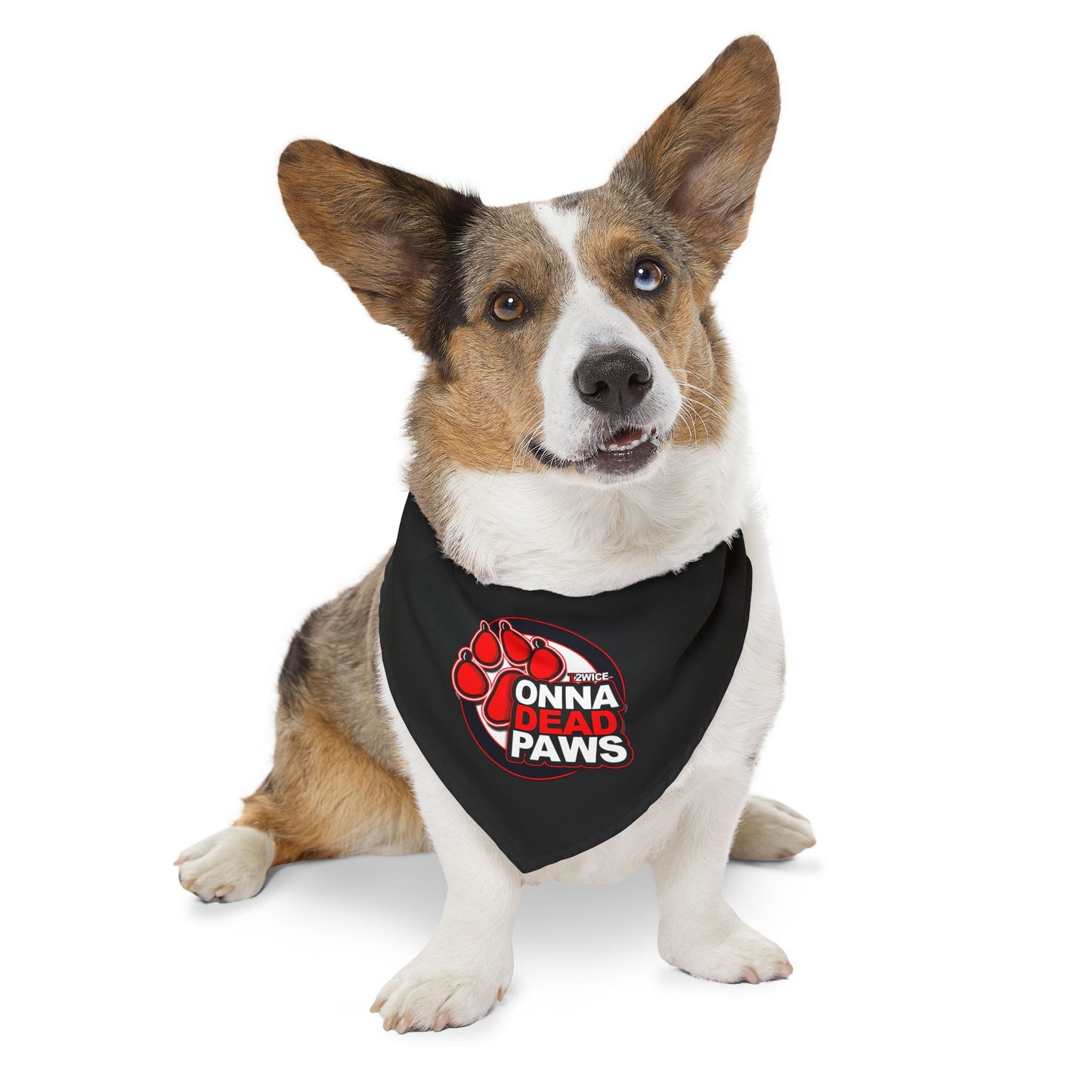 Dead Paws Black and Red Pet Bandana Collar