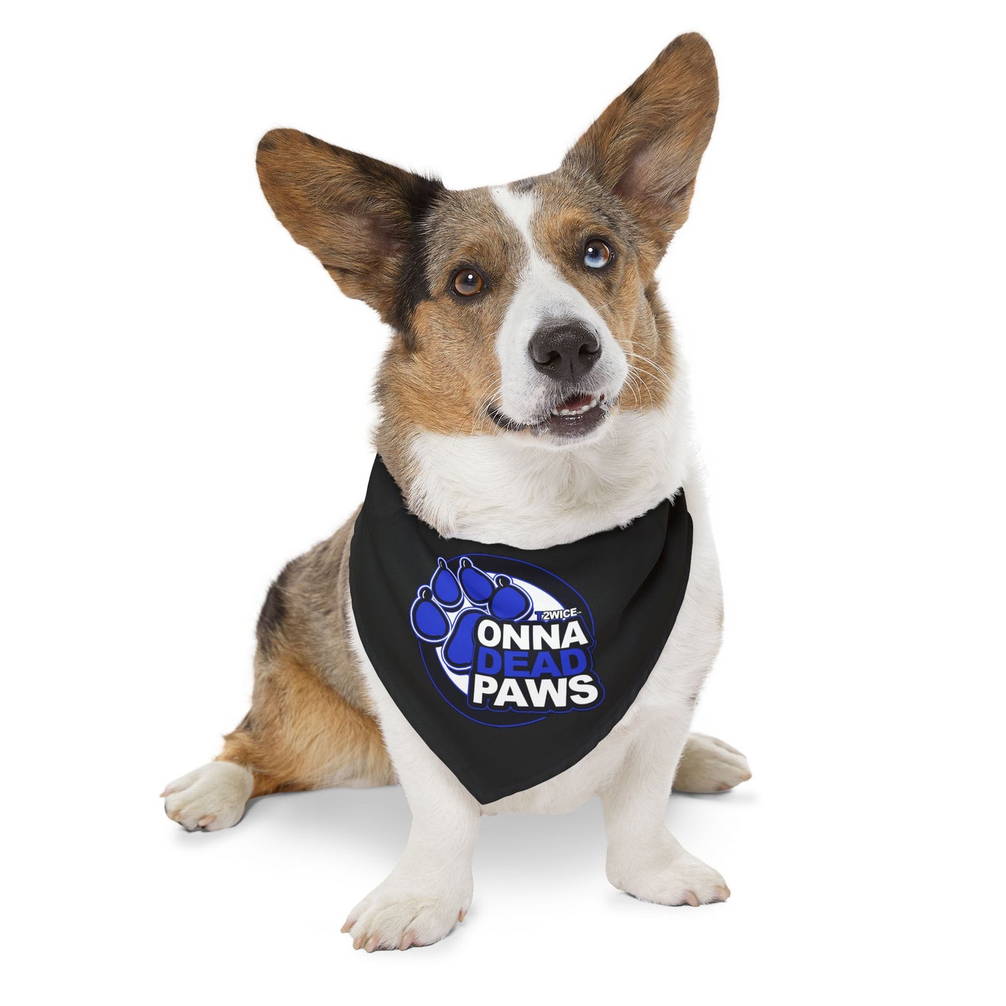 Dead Paws Black and Blue Pet Bandana Collar