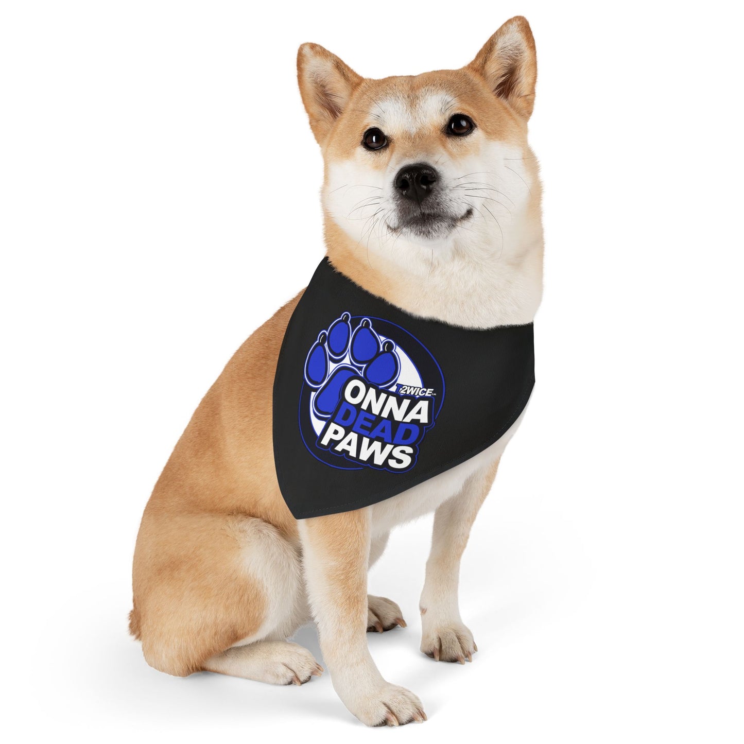 Dead Paws Black and Blue Pet Bandana Collar