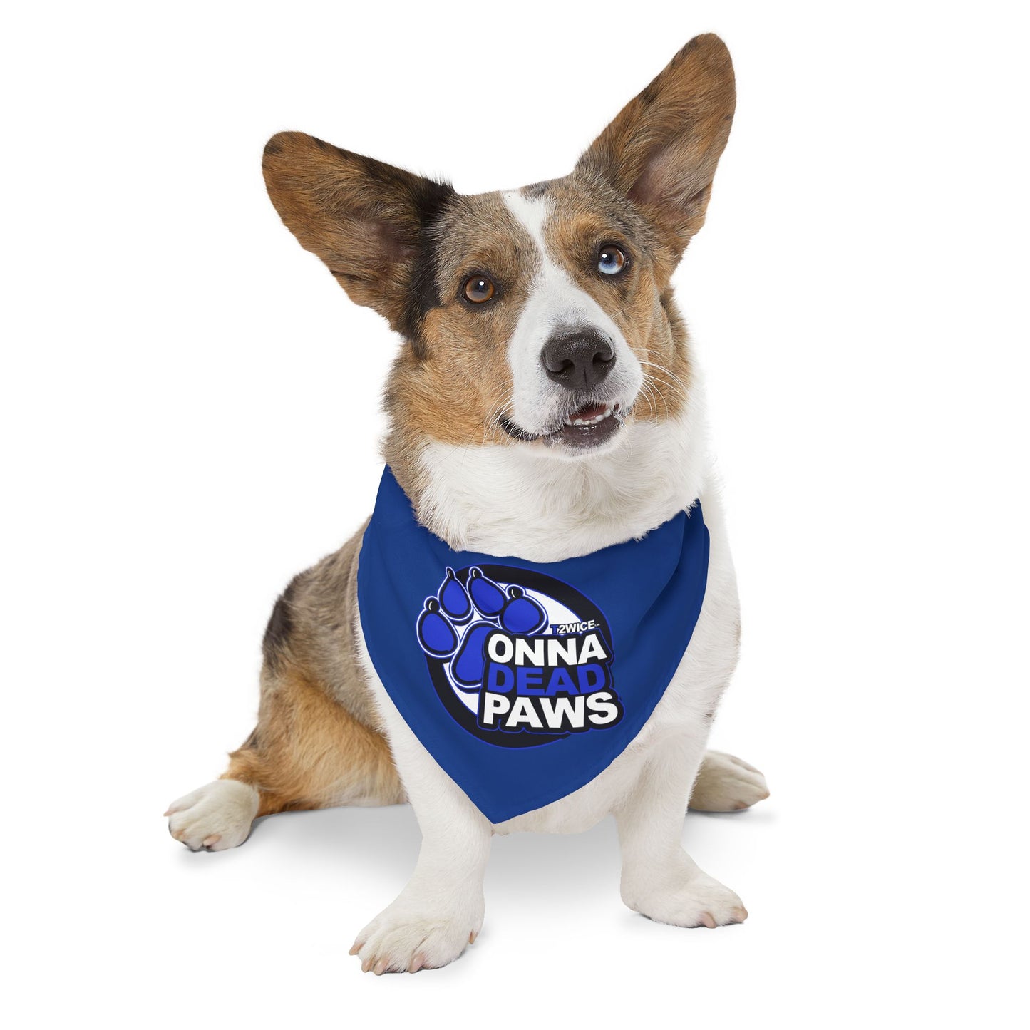 Dead Paws All Blue Pet Bandana Collar