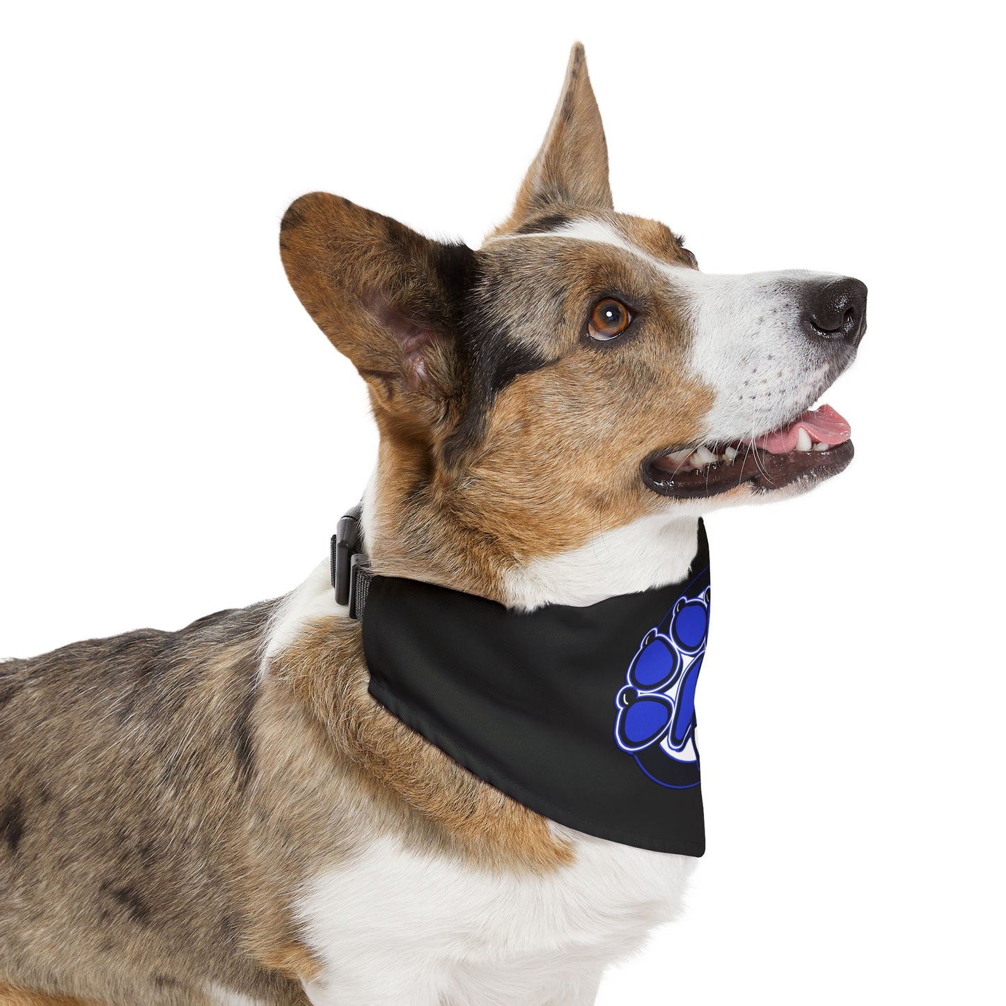 Dead Paws Black and Blue Pet Bandana Collar