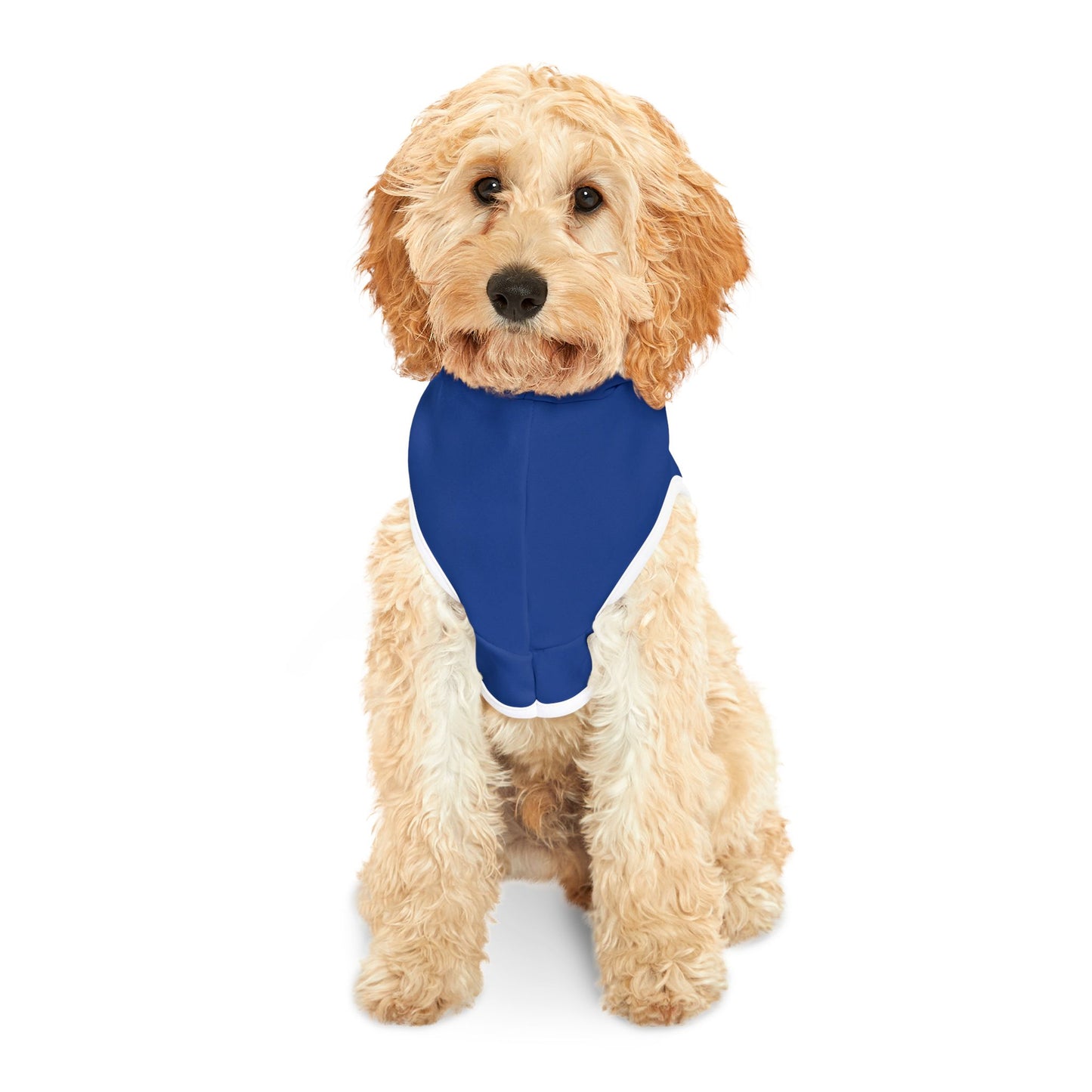 Dead Paws Blue logo Pet Hoodie in Blue