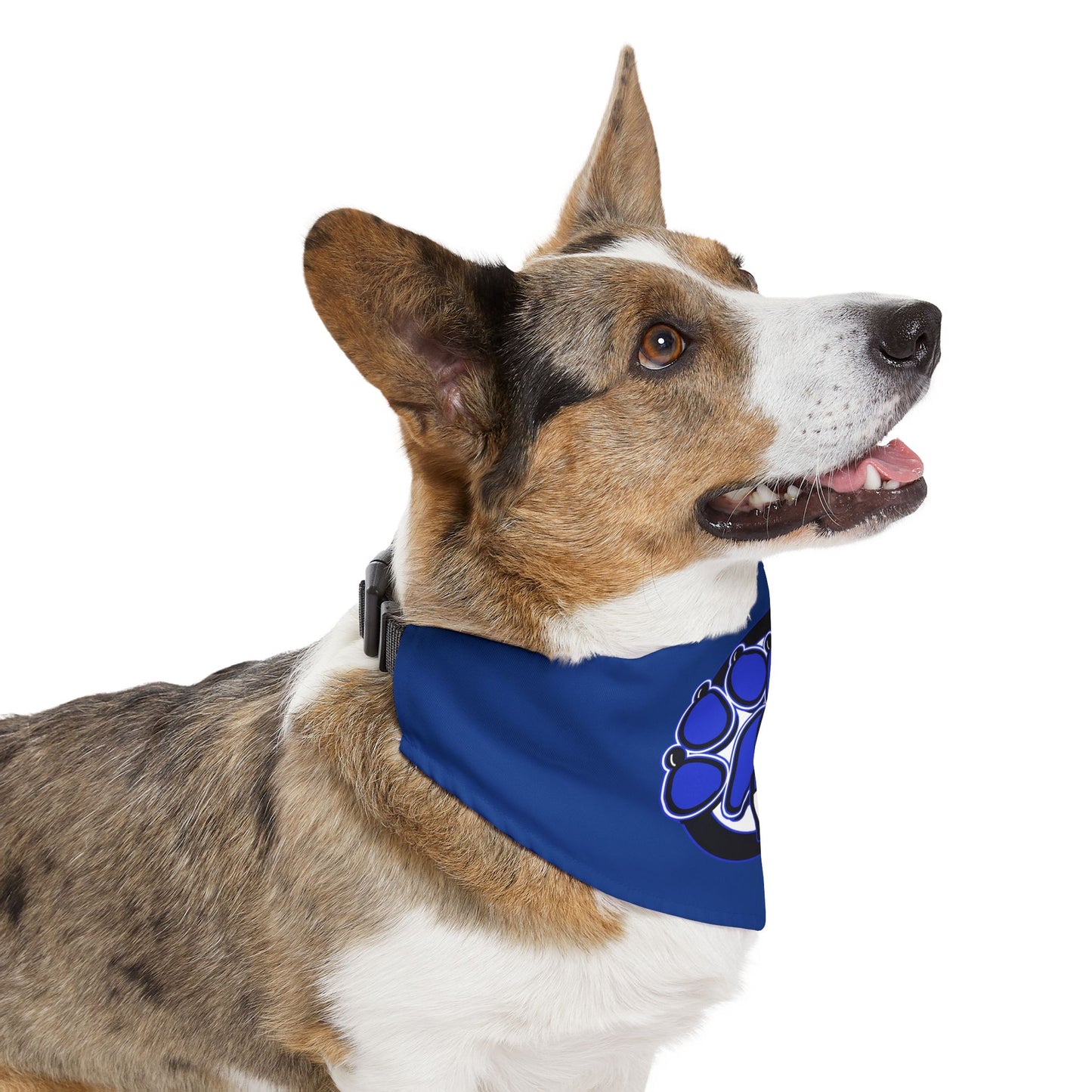 Dead Paws All Blue Pet Bandana Collar