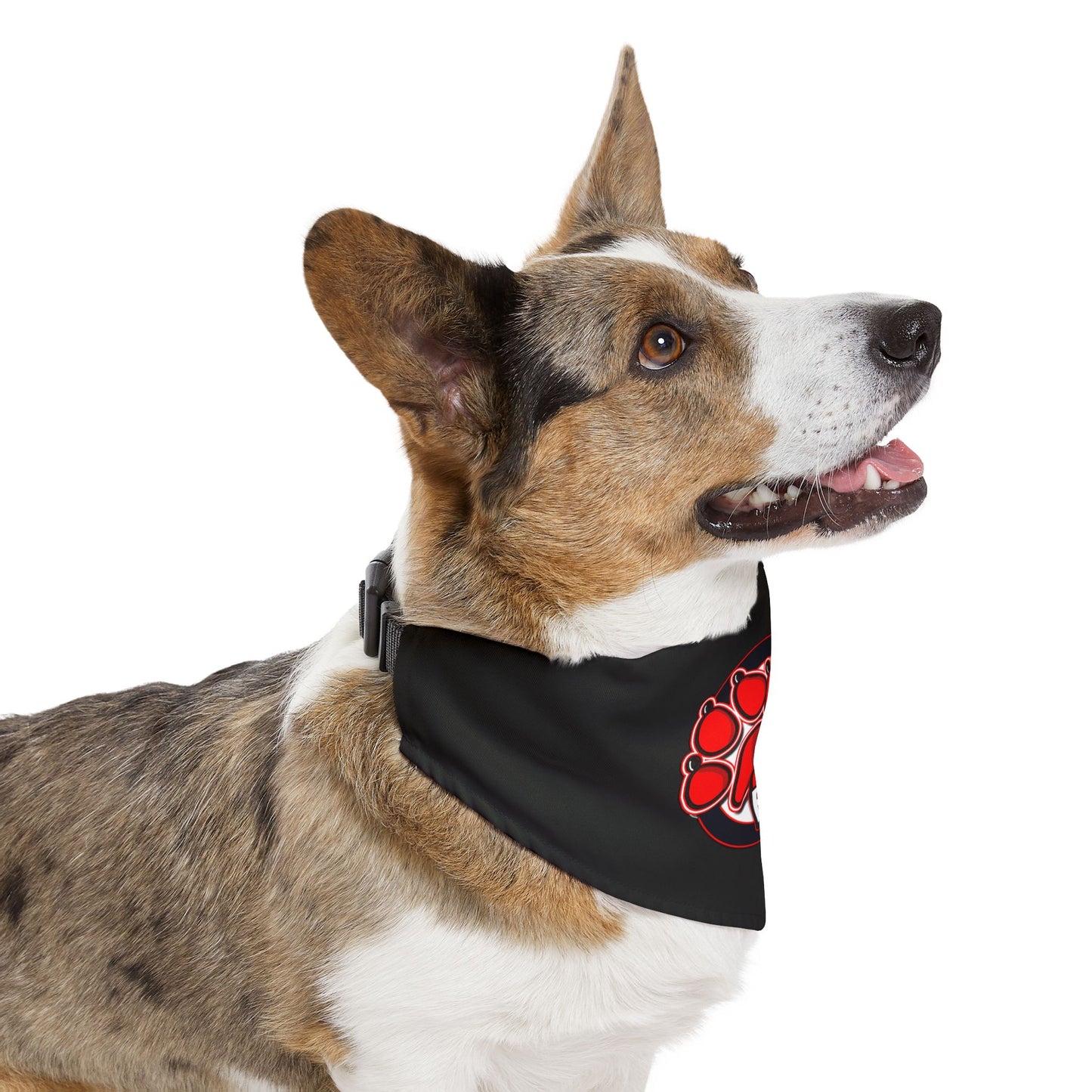 Dead Paws Black and Red Pet Bandana Collar